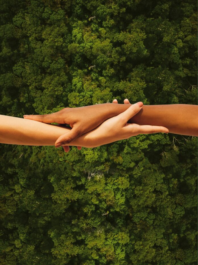 Amazonia-Viva-BB